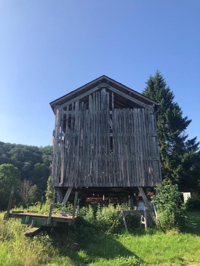 Appartement Les Caliciades 3 à Gros-Fayt à Bièvre Extérieur photo